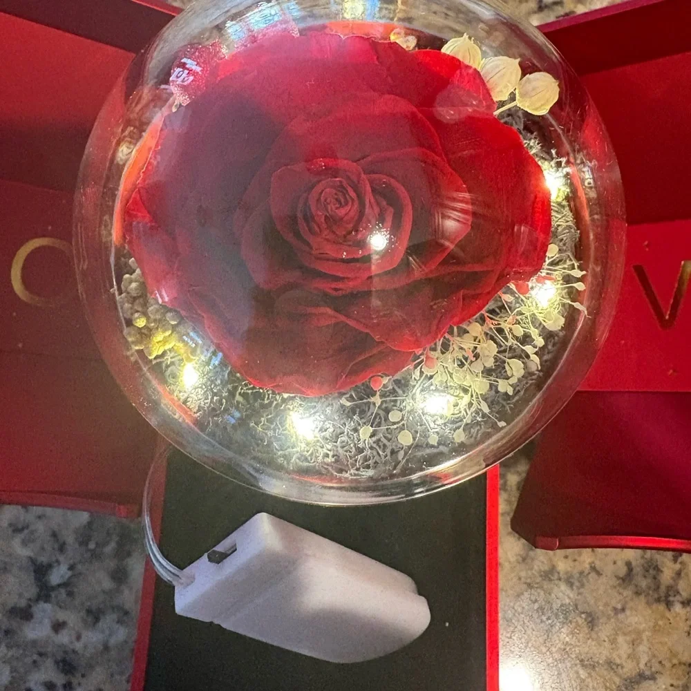 🌹Preserved Lighted Rose Box with Necklace